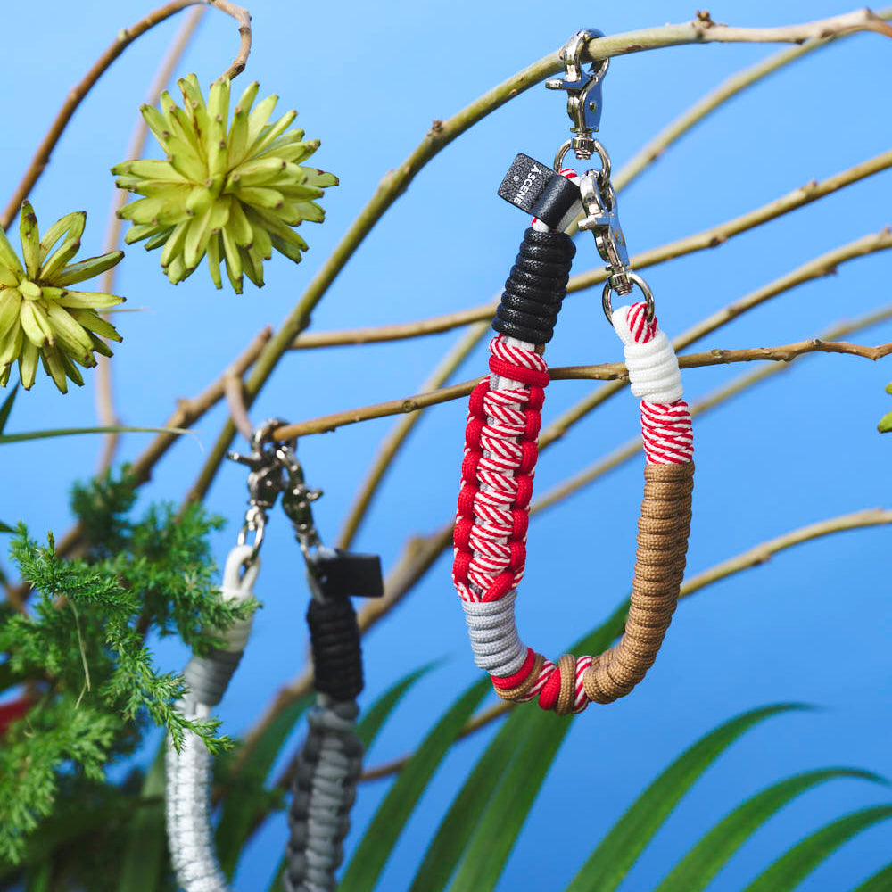 ASSO PERFORMANCE COLLAR（リジカラ） 24SS New Release 第1弾 – A SCENE