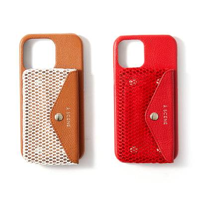 B&C Mesh case