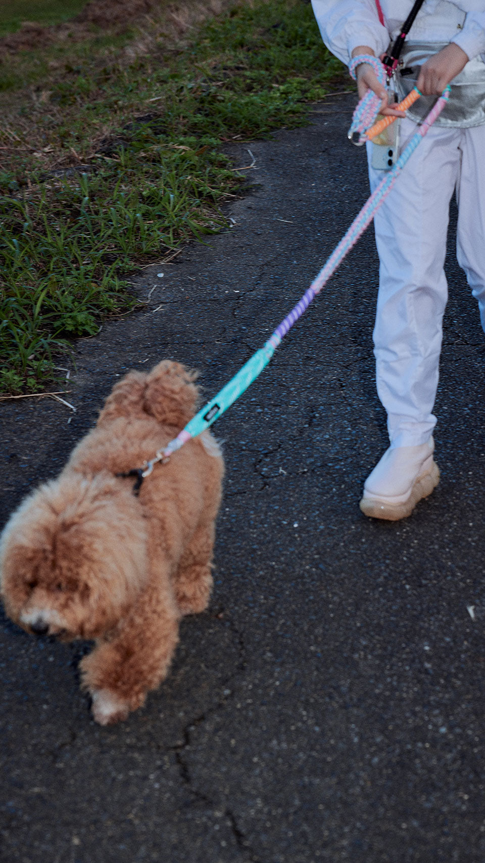 First “Dog lead” – A SCENE