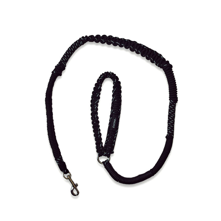 Dog lead – A SCENE