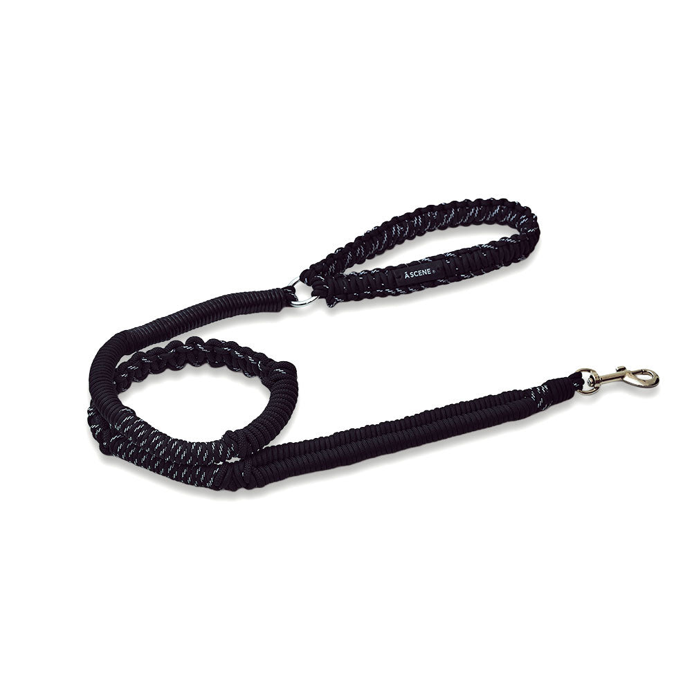 First “Dog lead” – A SCENE
