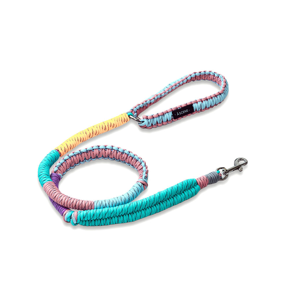 Dog lead – A SCENE