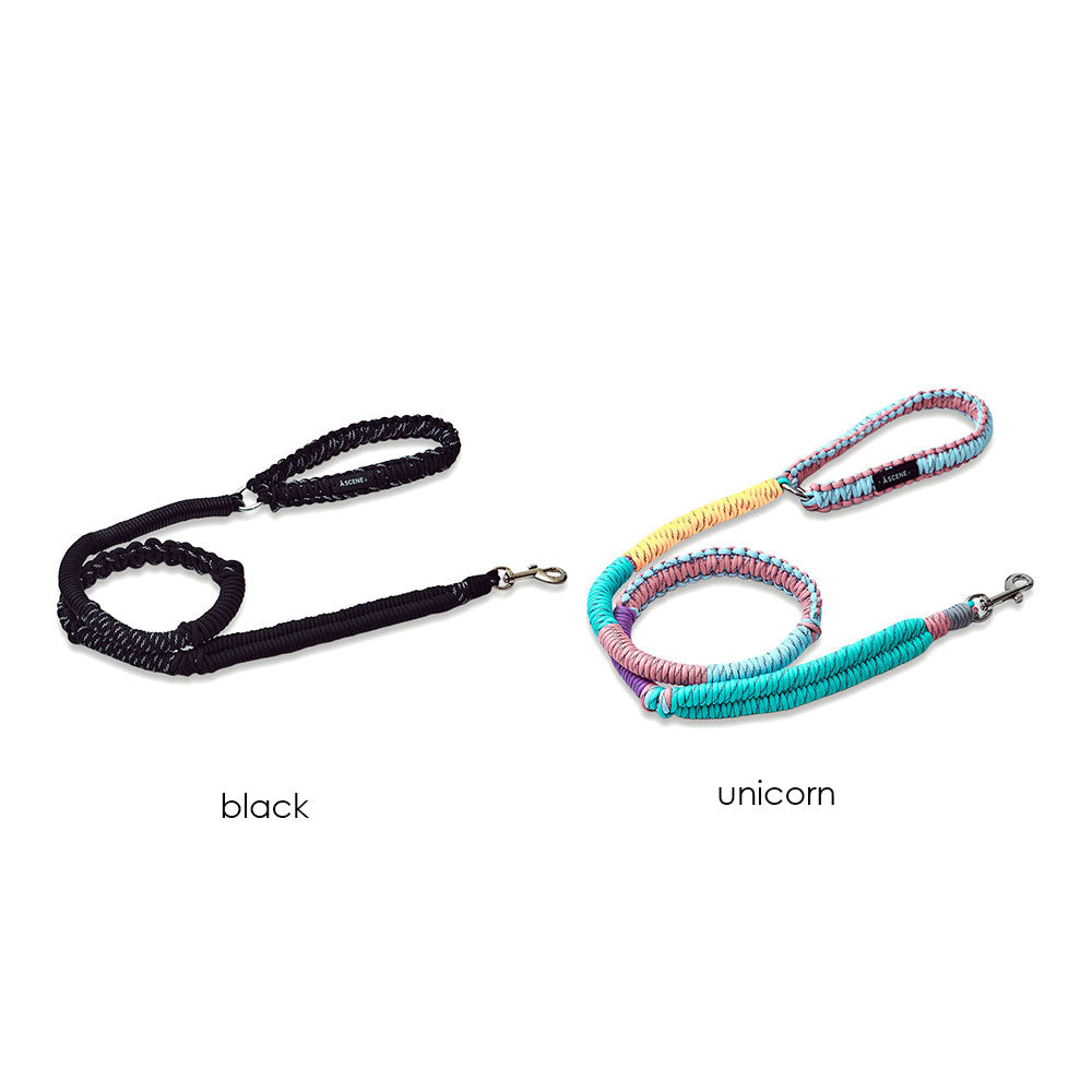 Dog lead – A SCENE